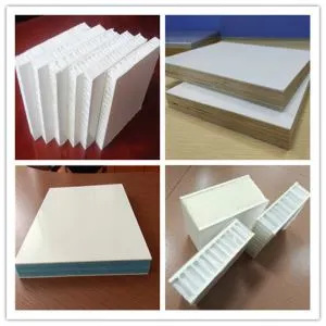 Ringan FRP/GRP Sandwich Panel untuk Cleanroom dinding dan pintu